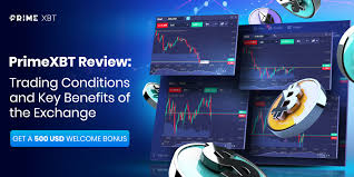 The Ultimate Guide to UK PrimeXBT Trading
